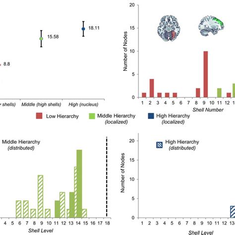 Topology Of The Cortical Network Topology Of The Cortical Network