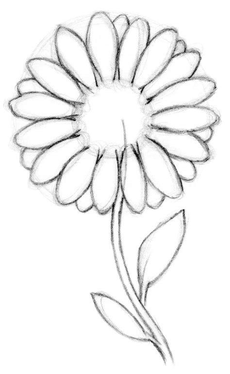 We will now be using the methods contained within the. Drawing Lesson: Flower | The Scribbles Institute