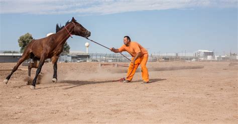Inmates Train Wild Horses For Border Patrol