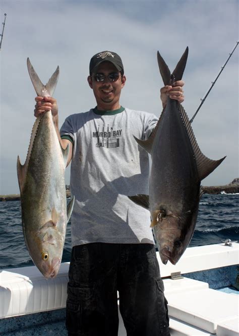 How To Catch Amberjack Tips For Fishing For Amberjack