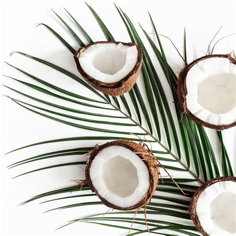 Coconut Vetiver Bb Candles