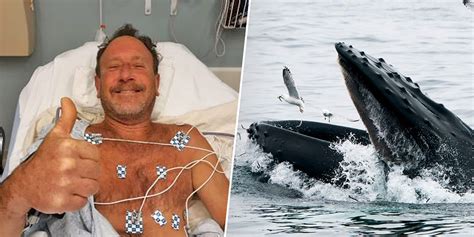 michael packard was swallowed by a humpback whale and lived