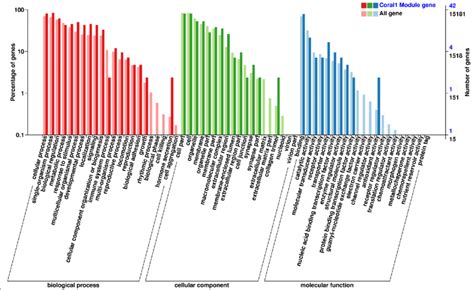 Go Classification In Coral1 Module Annotation Statistics Of Genes In
