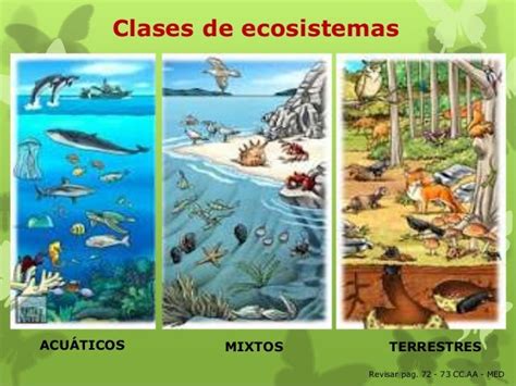 5º Tema 3 Los Ecosistemas Mind42
