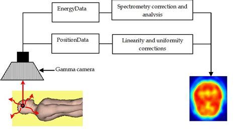 Principles And Applications Of Nuclear Medical Imaging A Survey On