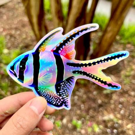 Lazy Coffee Design Rainbow Banggai Fin Sticker Holographic