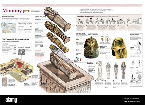 Infographics Of The Mummification Process In Ancient Egypt And King