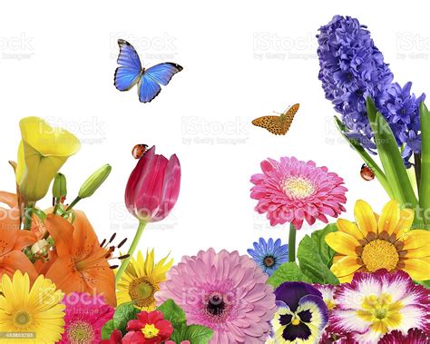 An Colorful Animated Picture Of Flowers And Butterflies