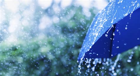 Lifestyle Scene Of Rainy Weather Blue Umbrella Under Rainfall Banner
