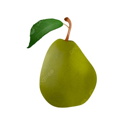 Pear Fruit Png Transparent Green Pear Fruit Illustration Painting