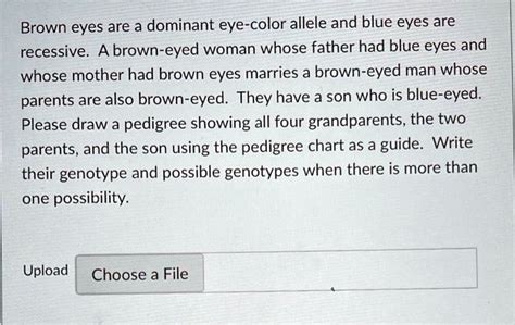 Solved Brown Eyes Are A Dominant Eye Color Allele And Blue Eyes Are Recessive A Brown Eyed