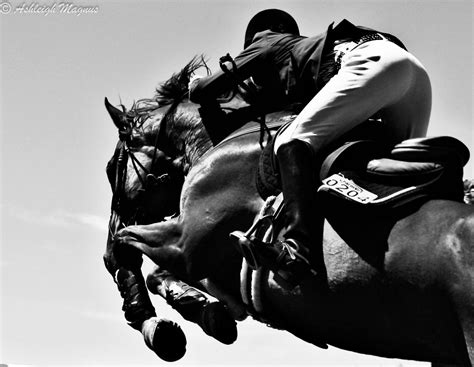 Equine Art Horse Photography Horse Jumping Black And White 20 X 30