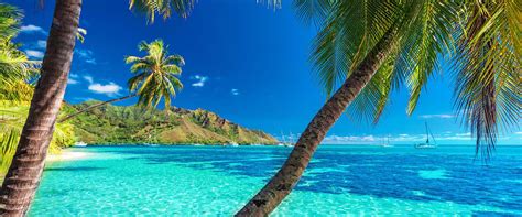 French Polynesia Public Holidays 2024 Publicholidaysasia
