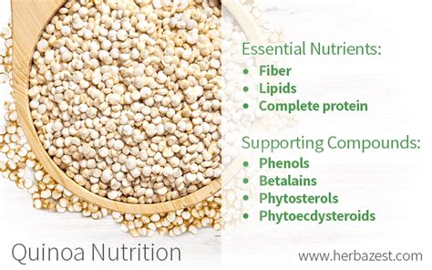 Quinoa Nutrition Herbazest