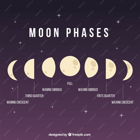 Premium Vector Moon Phases Illustration