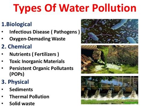 Types Of Water Pollution The Sources And Impacts Of Water Pollution
