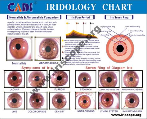 Eye Reflexology Chart 10 Pcs Free Downlaod Maikong Iridology Cameras