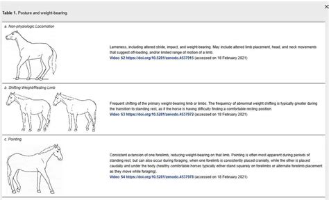 New Ethogram Describes 70 Discomfort Behaviors In Horses The Horse
