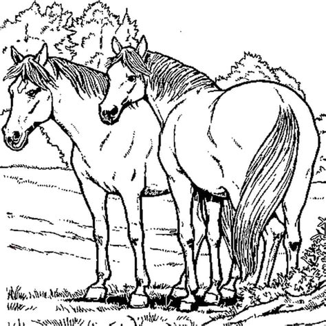 Coloriage204 coloriage à imprimer de cheval