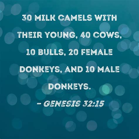 Genesis 32:15 30 milk camels with their young, 40 cows, 10 bulls, 20