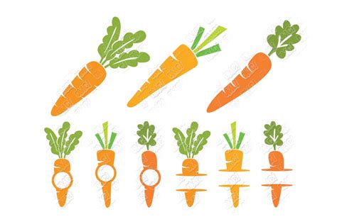 Carrot SVG in SVG/DXF/EPS/JPG/PNG • OhMyCuttables