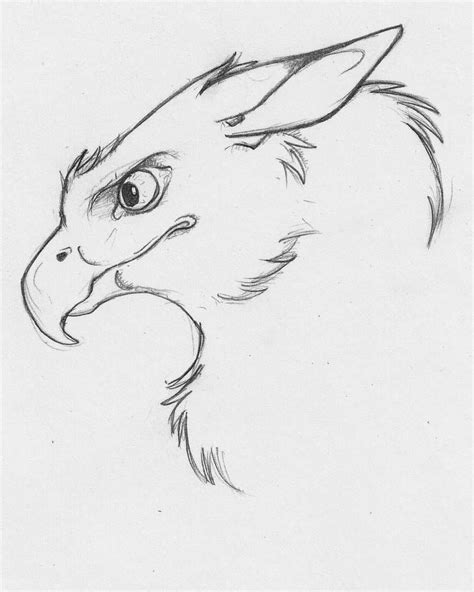Gryphon By Katy Blackcat On Deviantart Creature Drawings Animal