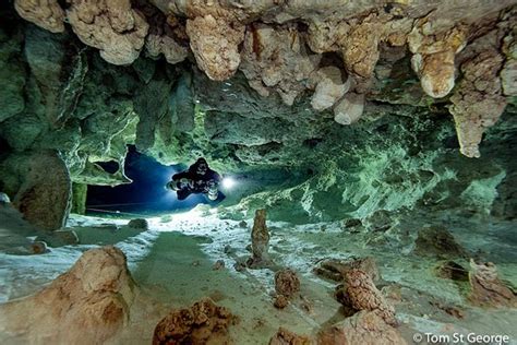 Cave Diving Mexico Tulum 2019 All You Need To Know Before You Go