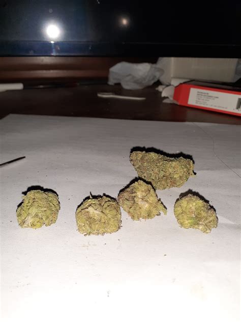 Bubble Runtz Marijuana Strain Information & Reviews | AllBud