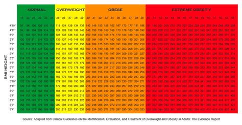 Bmi is a useful measurement. Dress womens clothing: Normal bmi