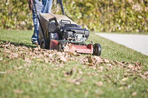 The Best Mulching Lawn Mower For Your Garden Archute
