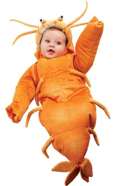 another halloween costume idea but whatever you do please don t put this shrimp on the b
