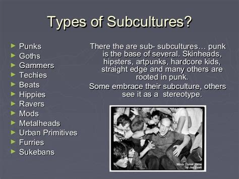 Subcultures In The Library
