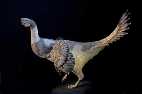 Scientists Reveal What Dinosaurs Really Looked Like And Its Fcking Weird