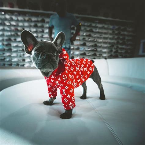 Supreme X Lv Dog Hoodie Red With Images Dog Hoodie