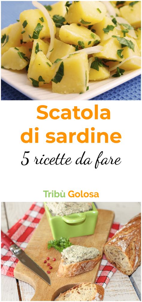 5 ricette da fare con una SCATOLA di SARDINE