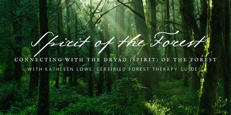 Connecting With The Spirit Of The Forest Humanitix