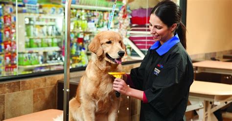 23 Employees Reveal The Reality Of Working For Petsmart