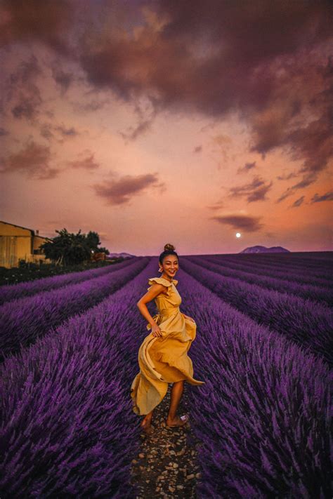 Essays are due by sunday night at exactly 11. Instagram Outfits in the Lavender Fields of Provence ...