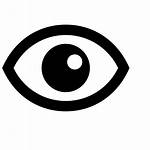 Vision Icon Eye Data