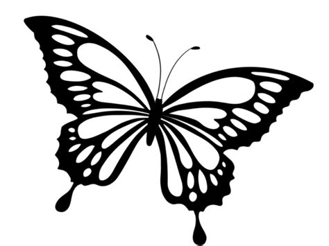 Butterfly SVG - Etsy