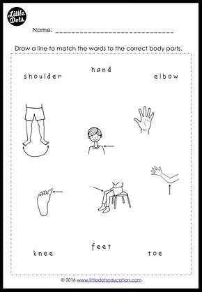 free body parts worksheets for preschool