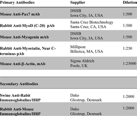Primary And Secondary Antibodies Used In The Western Blotting Protocol