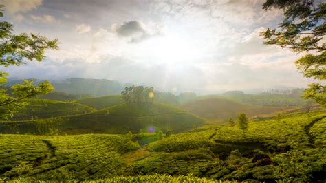 Munnar Hills Wallpaper Wallpapers With Hd Resolution