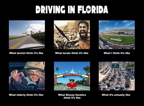 Hurricane dorian is on its way, and while sane people fear a hurricane to florida man, for most it's just a reason to party. Driving in Florida | Florida funny, Florida meme, Florida ...