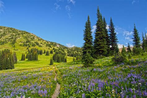 Hiking The Three Fools Trail Pasayten Wilderness North Western