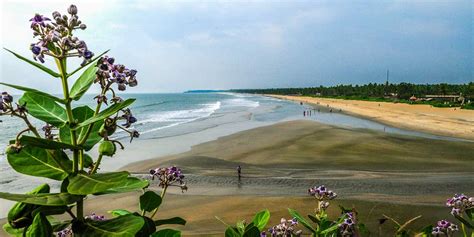 Payyambalam Beach Explore Kannur City Beaches Attractions