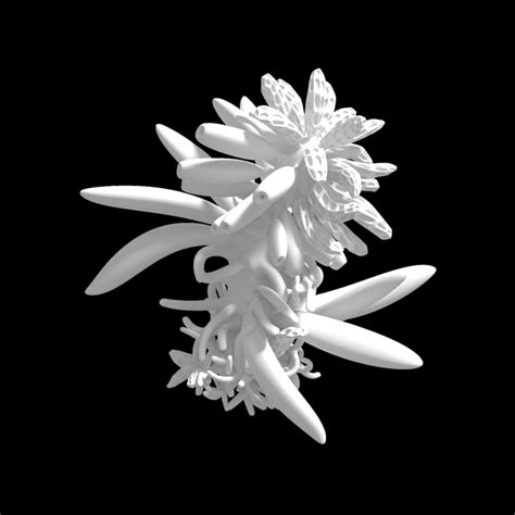 Generative Modeling Project New Plants Objects