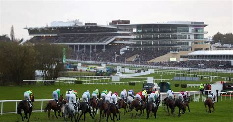 sex at the races one in 15 racegoers admit to having romps at top tracks mirror online