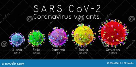 Sars Cov 2 Covid 19 Coronavirus Variants Alpha Beta Gamma Delta