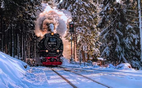 Steaming In Forest Steam Snow Train Winter Trees Hd Wallpaper
